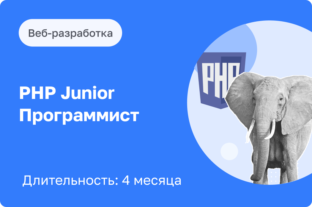PHP Junior Программист